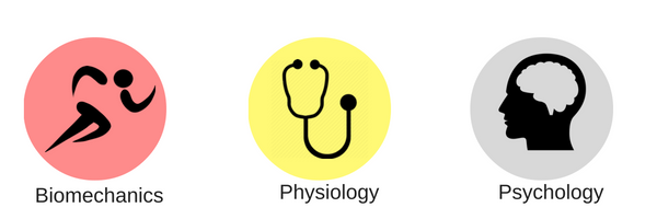 biomechanics. physiology. psychology. sport.