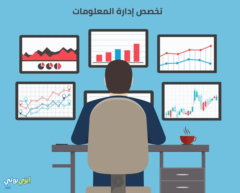 تخصص إدارة المعلومات