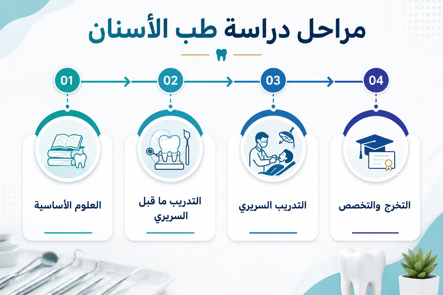 مراحل دراسة طب الأسنان من العلوم الأساسية حتى التخرج والتخصص